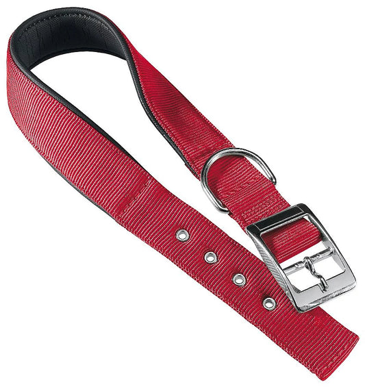 Red dog collar with a silver buckle on a white background
