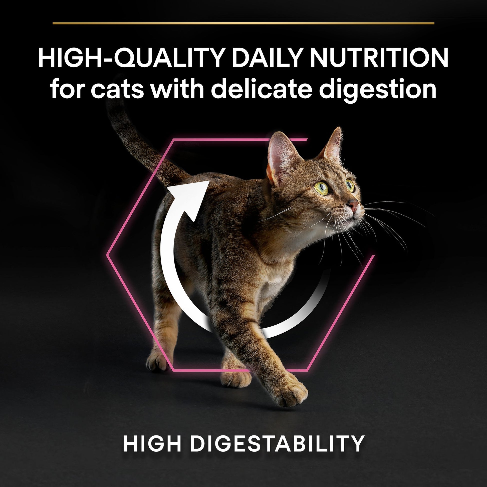 Cat walking with nutritional text on a black background