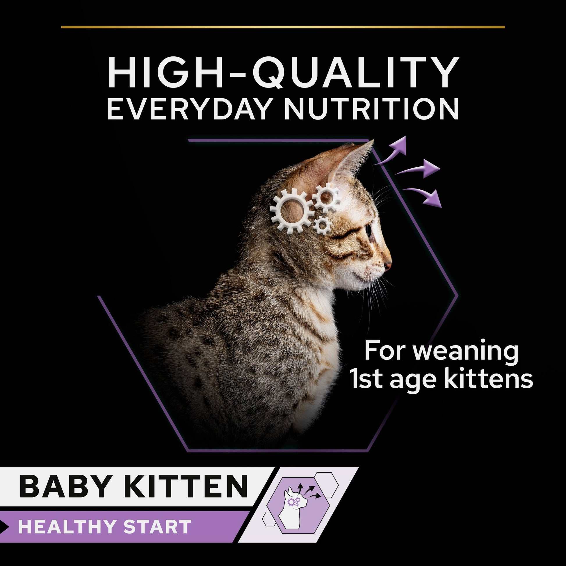 Cat with gear design on head and nutritional text.