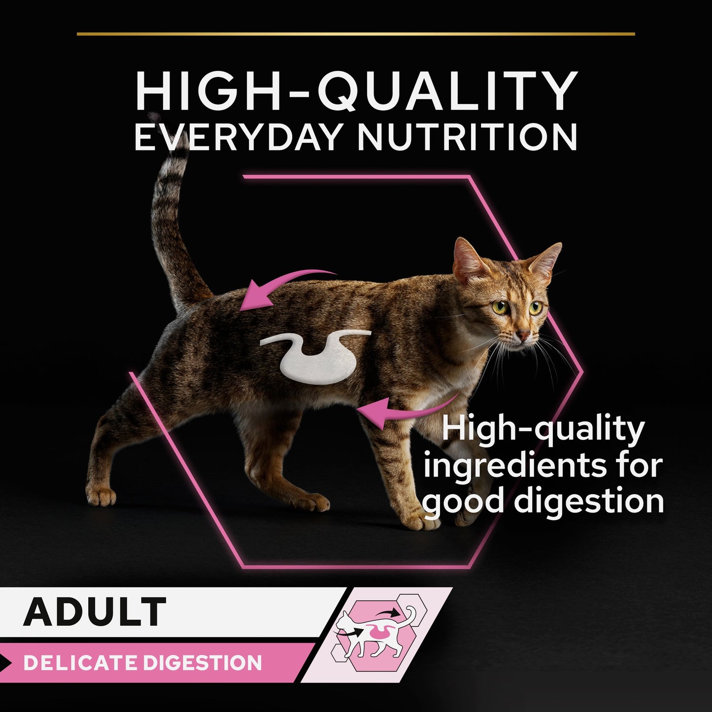 Cat with nutritional information on a black background
