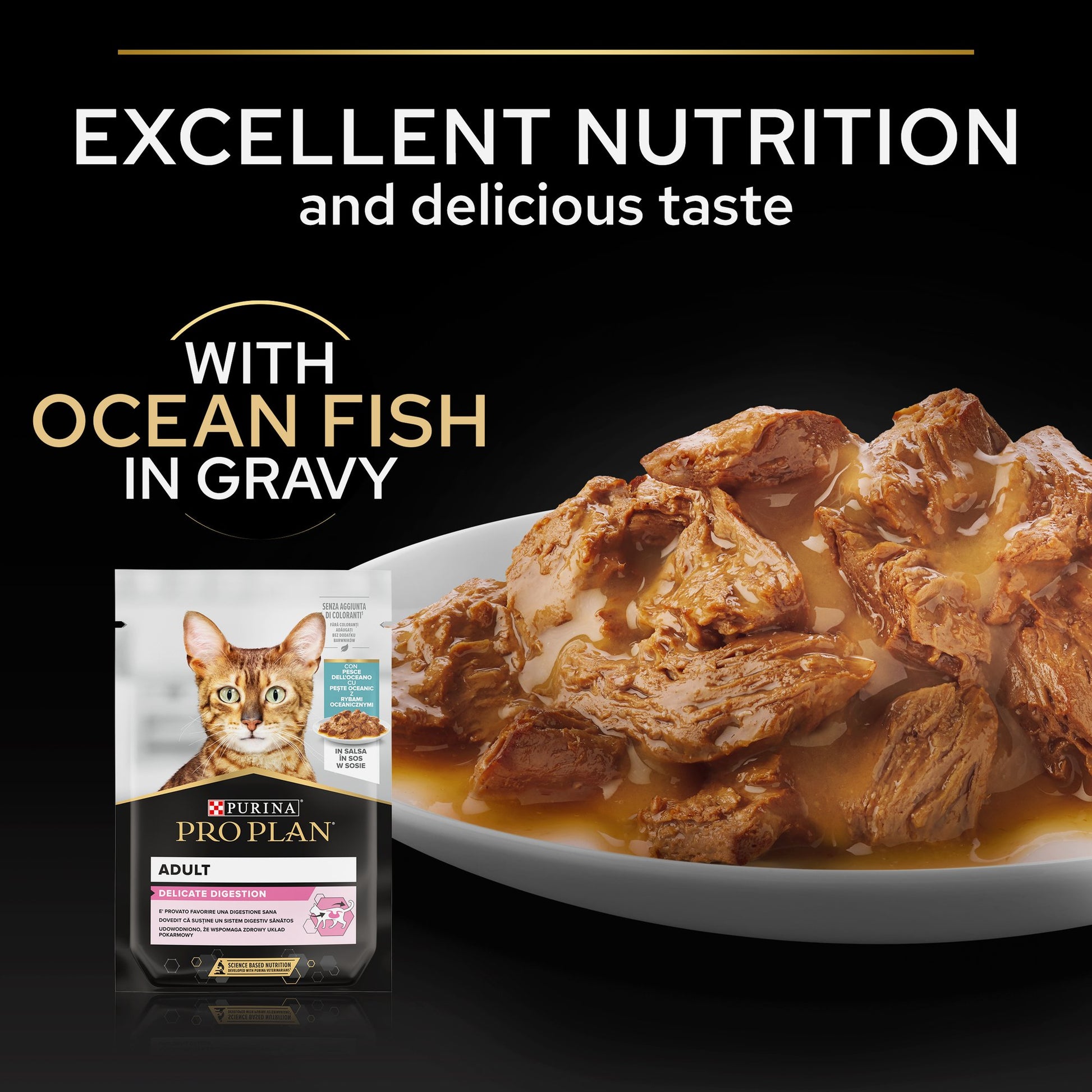Cat food with ocean fish in gravy and product packaging on a dark background.