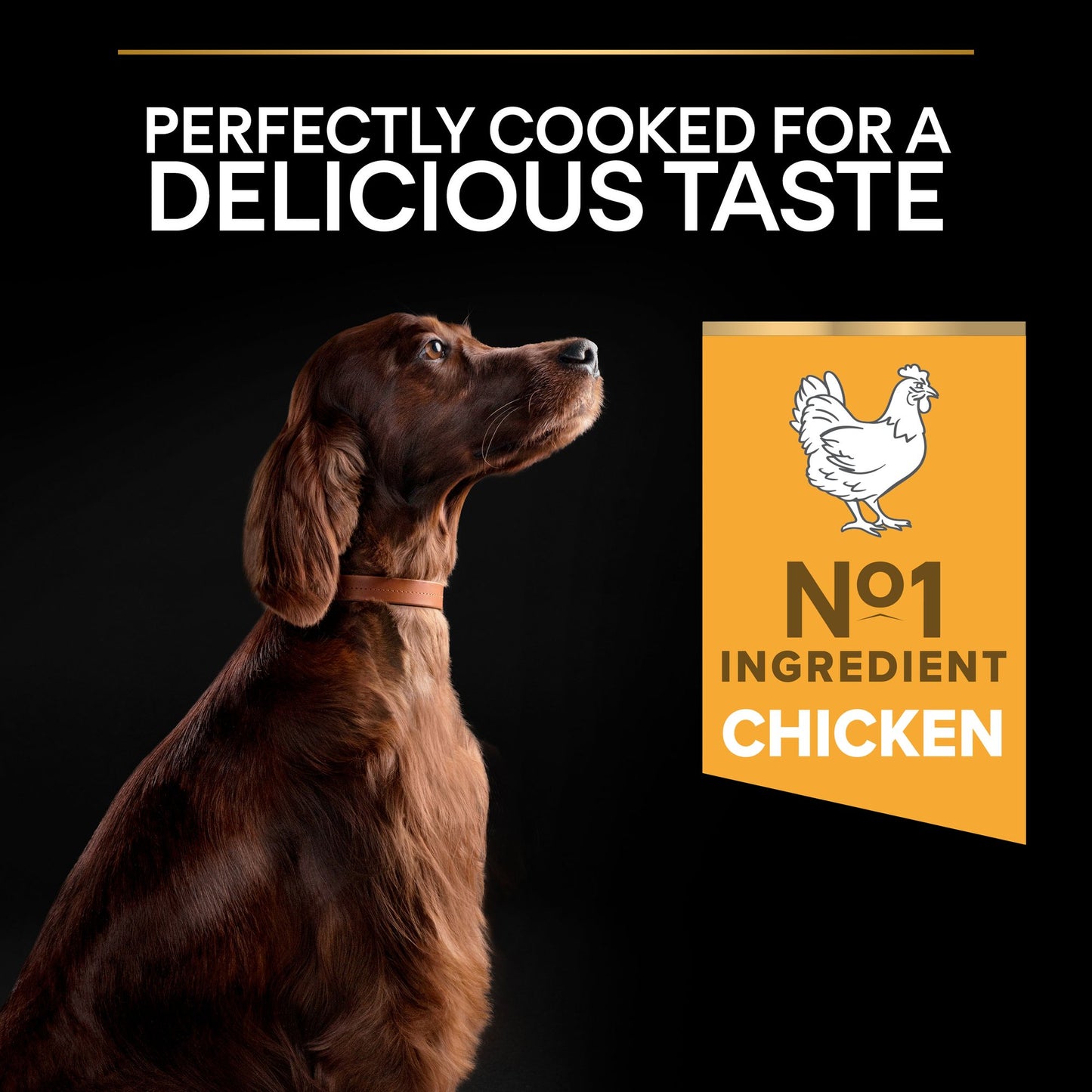Dog looking at a label with a chicken icon and 'No.1 Ingredient Chicken' text on a black background.