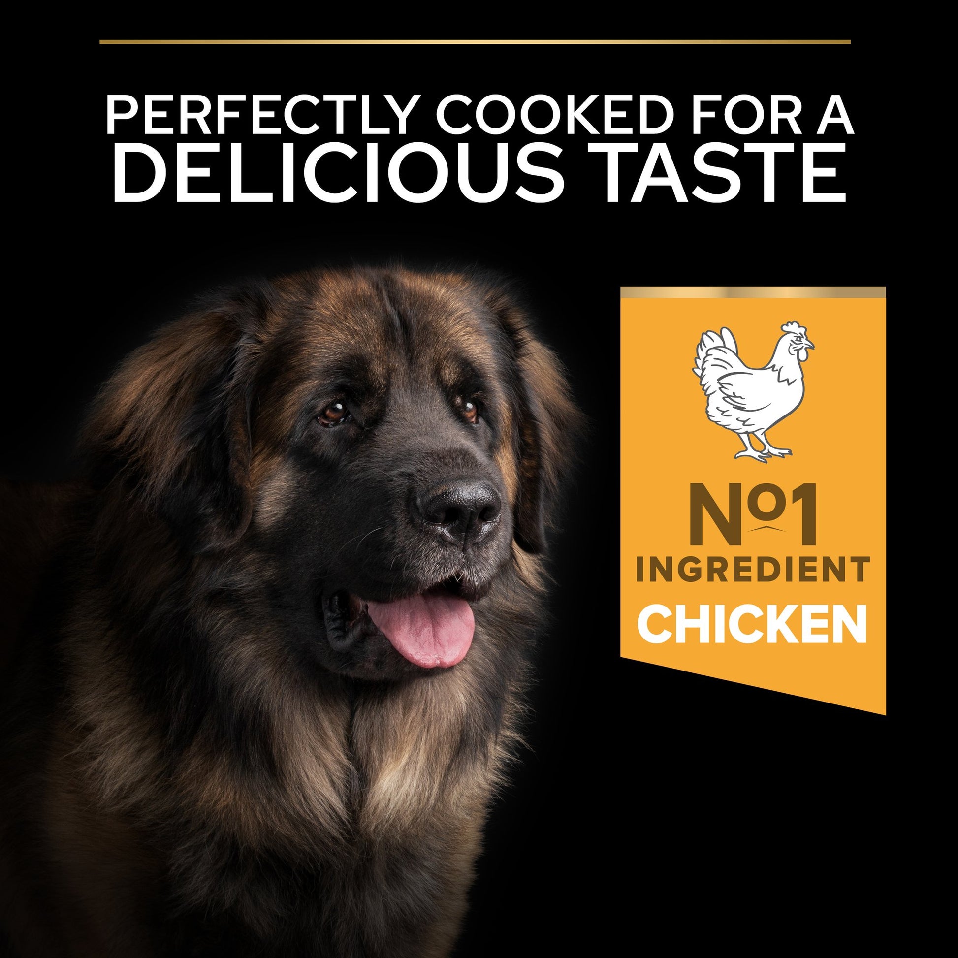 Dog with text 'Perfectly cooked for a delicious taste' and 'No. 1 Ingredient Chicken' on a black background.