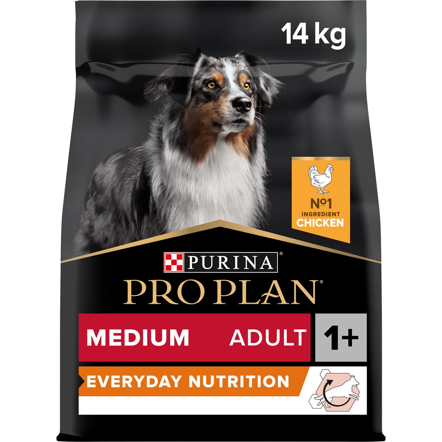 Pro Plan Everyday Nutrition Medium Adult, Dry Dog food with Chicken,14 kg