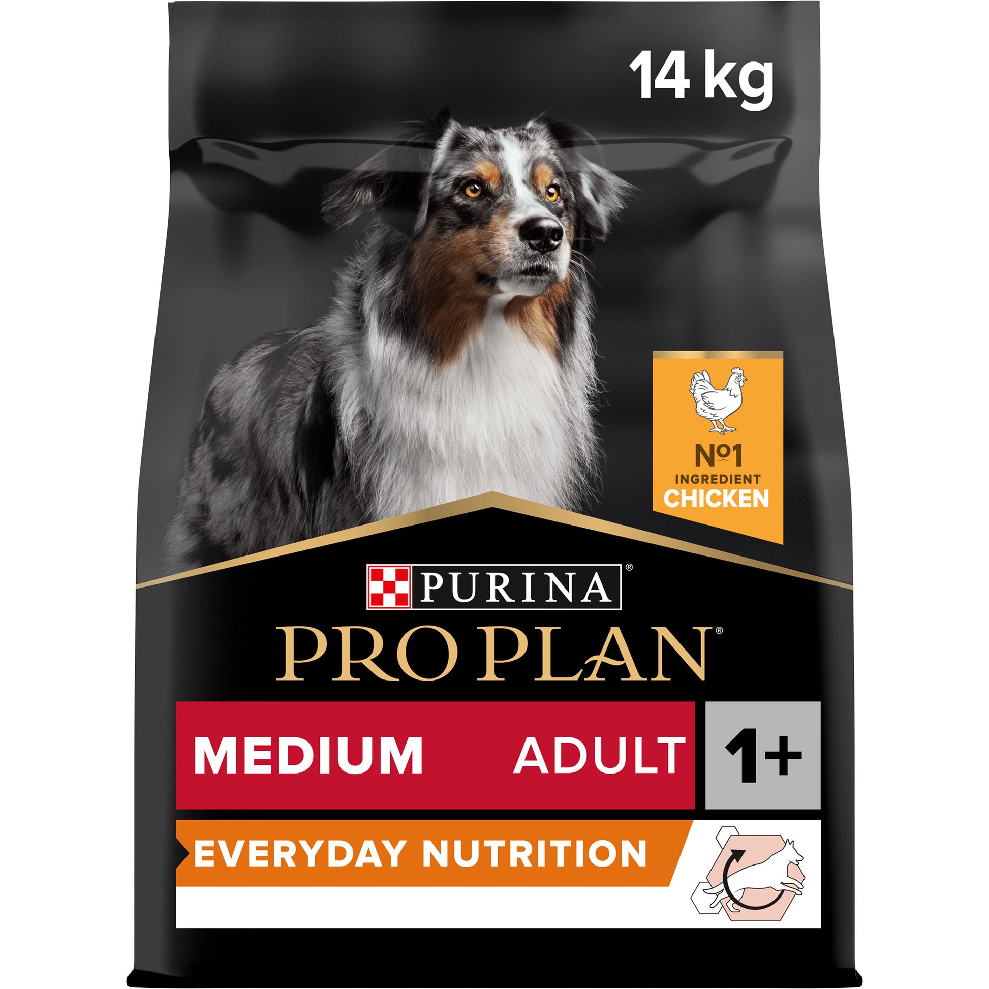 Pro Plan Everyday Nutrition Medium Adult, Dry Dog food with Chicken,14 kg