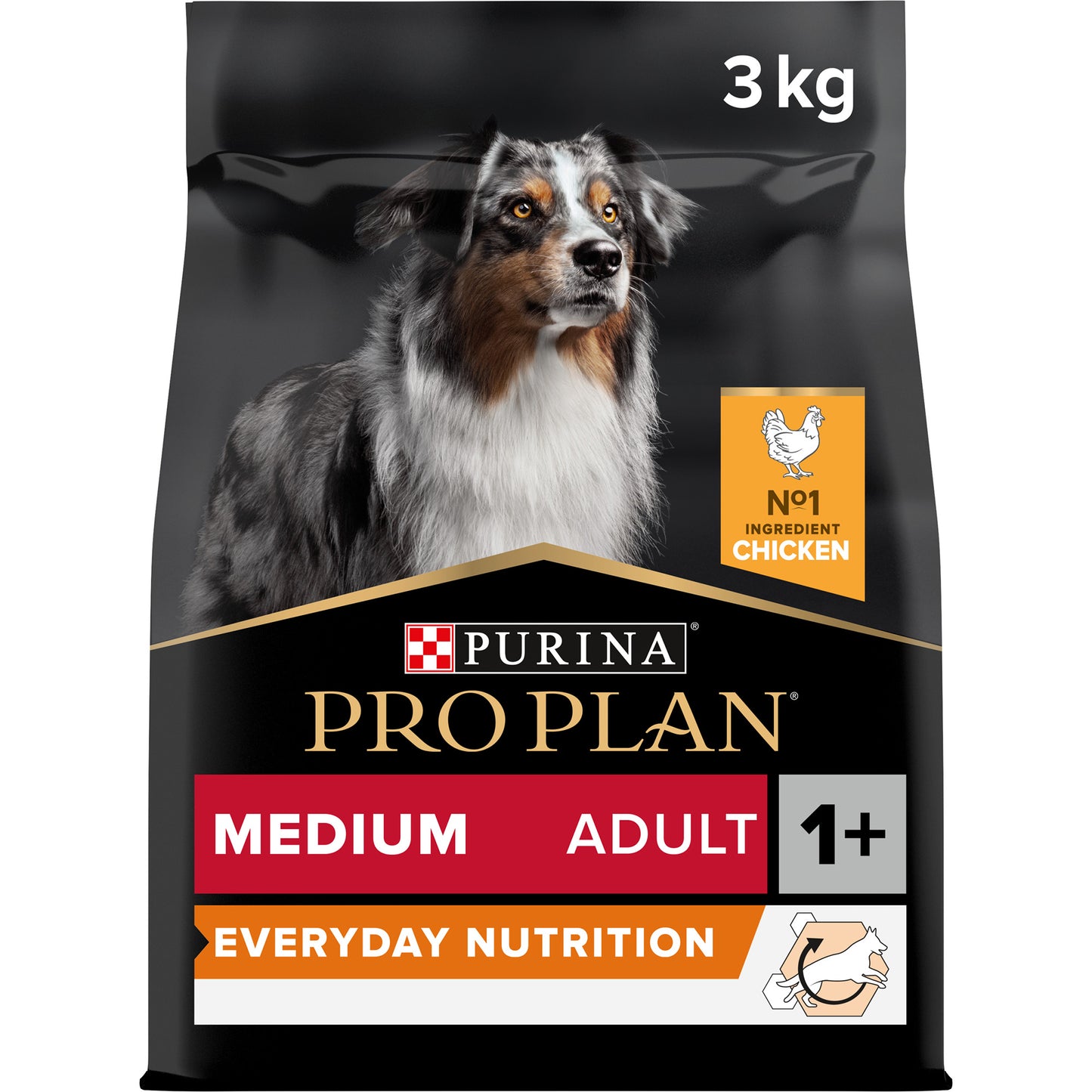 Pro Plan Everyday Nutrition Medium Adult, Dry Dog food with Chicken, 3 kg