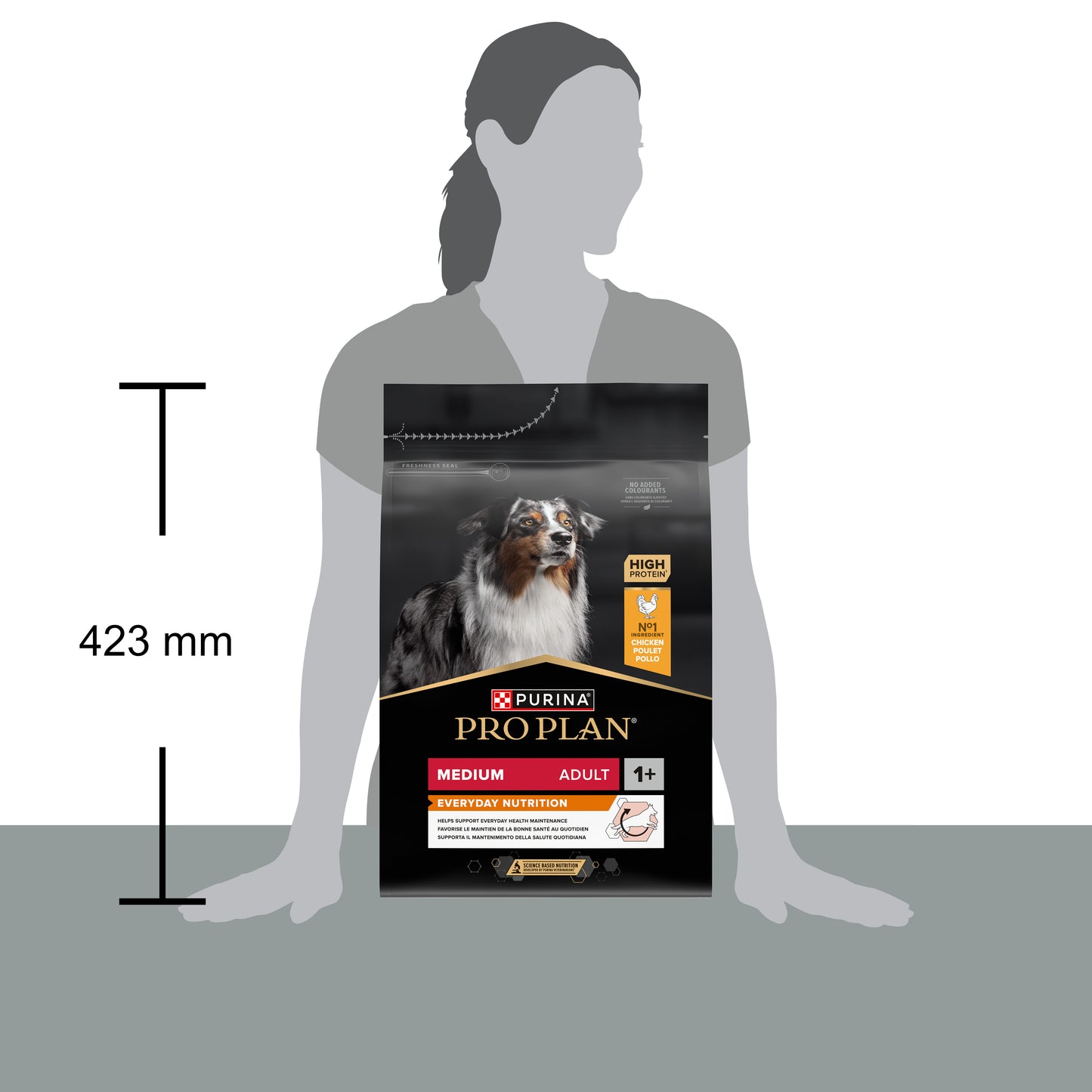 Pro Plan Everyday Nutrition Medium Adult, Dry Dog food with Chicken, 3 kg
