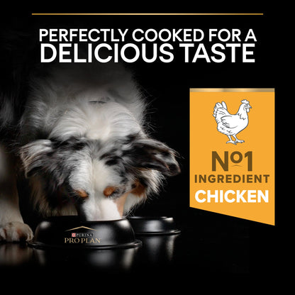 Pro Plan Everyday Nutrition Medium Adult, Dry Dog food with Chicken, 3 kg 