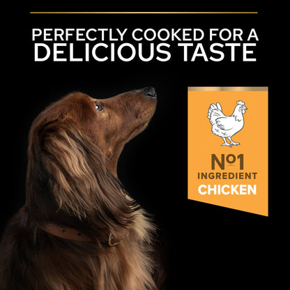 Pro Plan Everyday Nutrition Small and Mini Adult, Dry Dog food with Chicken, 3 kg