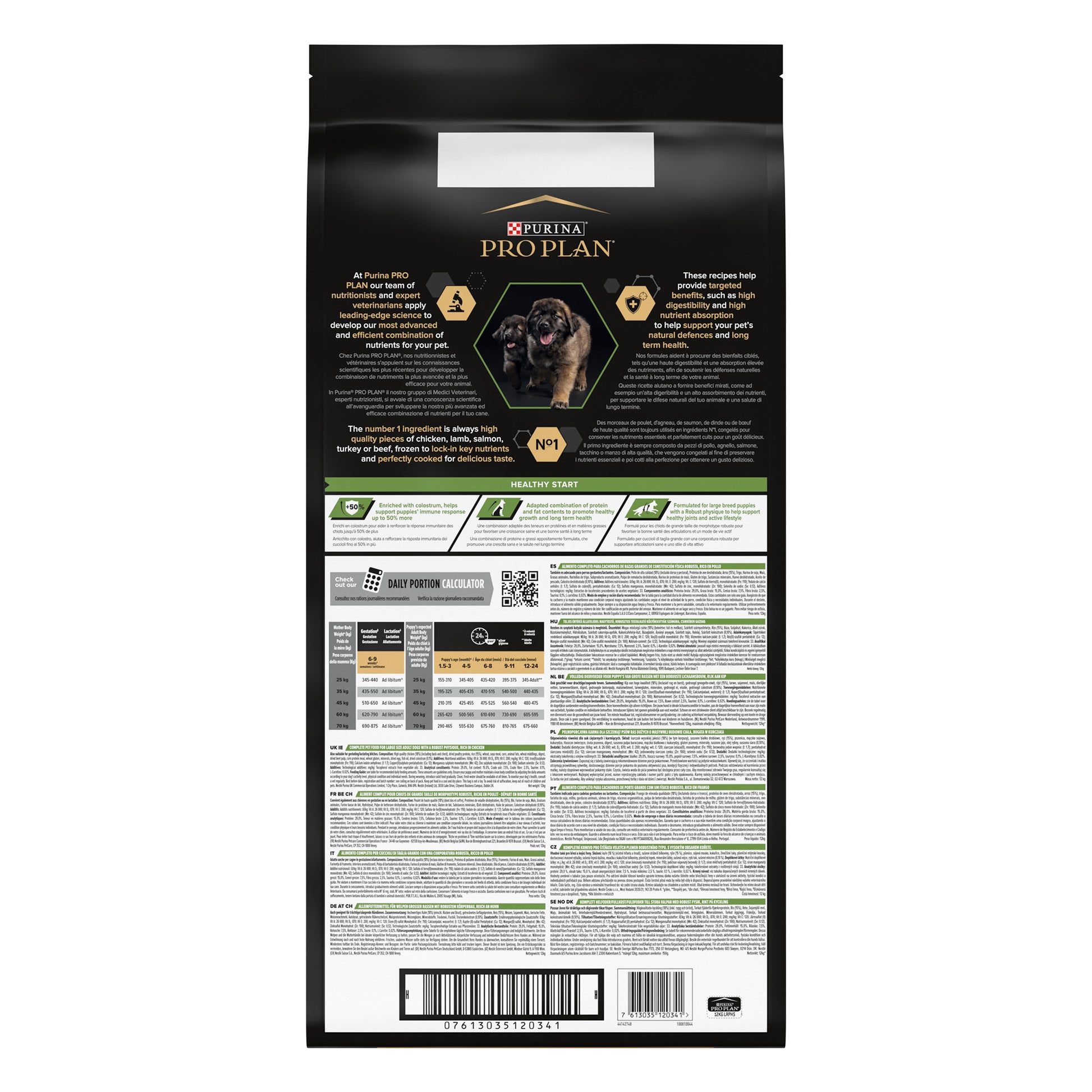 Pro Plan Healthy Start Large Robust Puppy, Dry Dog food with Chicken, 12 kg