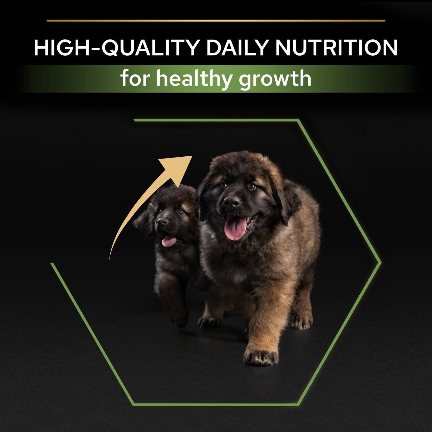 Pro Plan Healthy Start Large Robust Puppy, Dry Dog food with Chicken, 3 kg