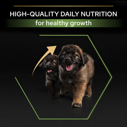 Pro Plan Healthy Start Large Robust Puppy, Dry Dog food with Chicken, 3 kg