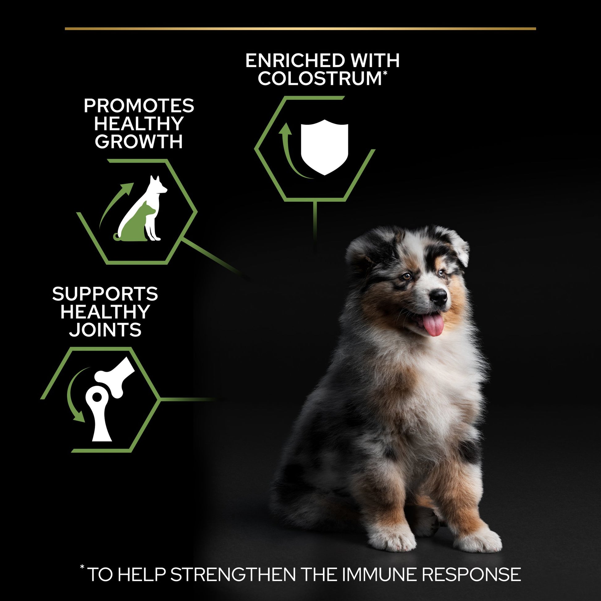 Dog sitting on dark background with product benefits highlighted