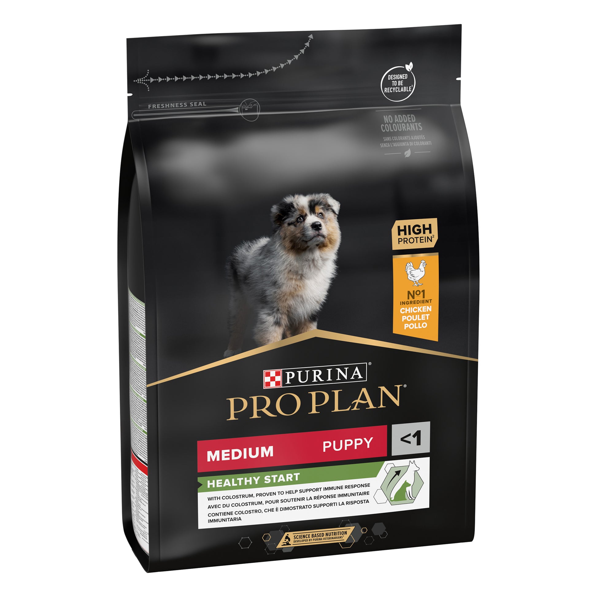 Dog food package with a dog image and branding