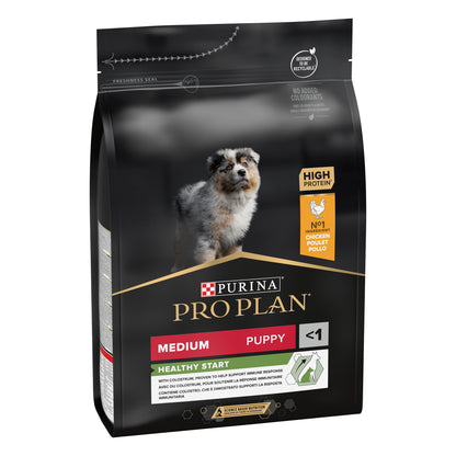 Dog food package with a dog image and branding