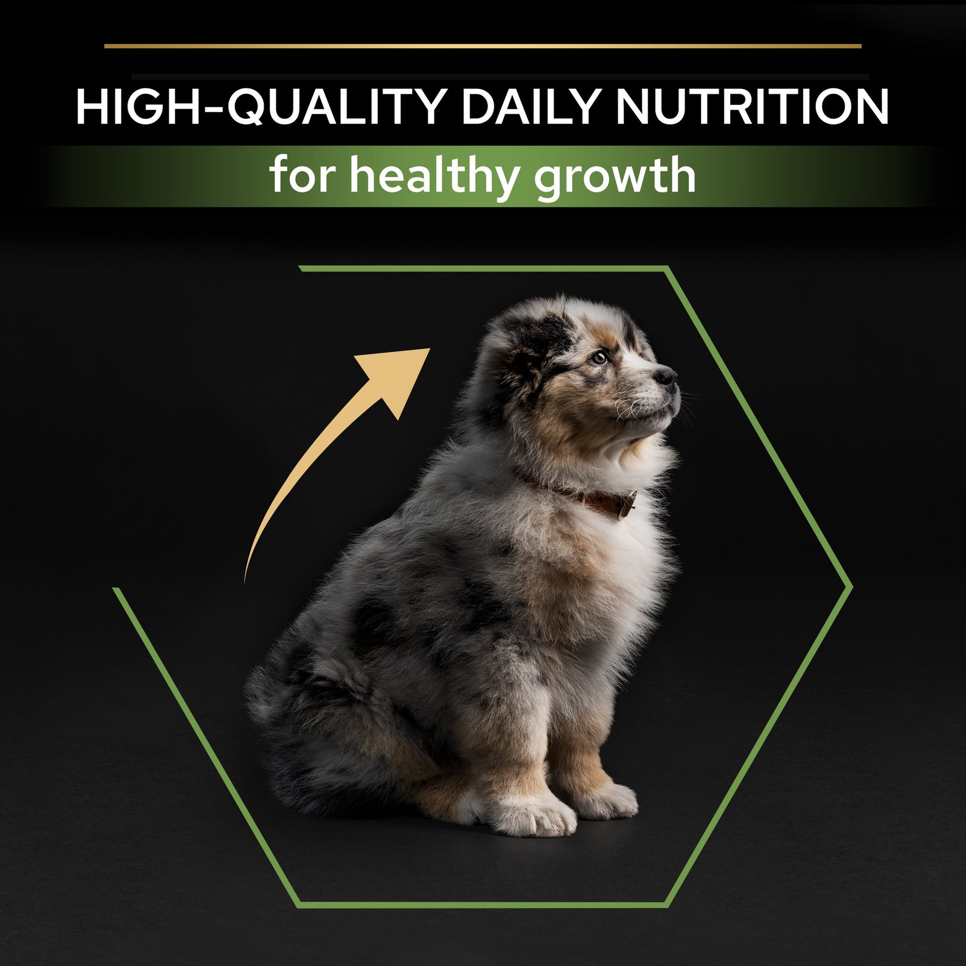 Puppy with text about high-quality daily nutrition