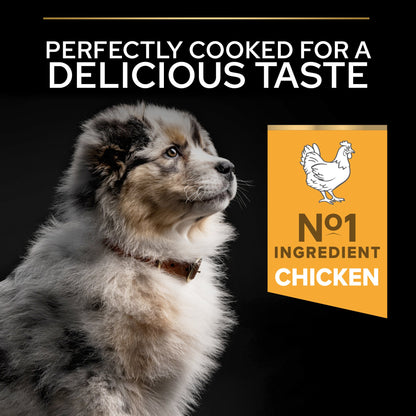 Dog with text 'Perfectly cooked for a delicious taste' and 'No. 1 Ingredient Chicken' on an orange background.