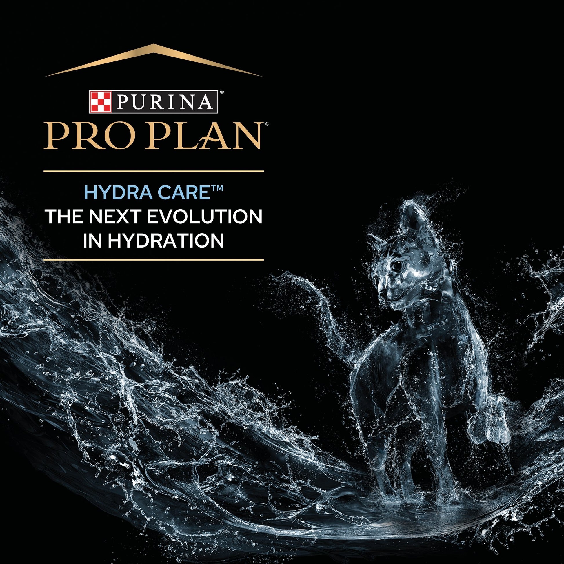 Pro Plan Hydra Care, Cat Hydration Supplement, Multipack 10x85g 