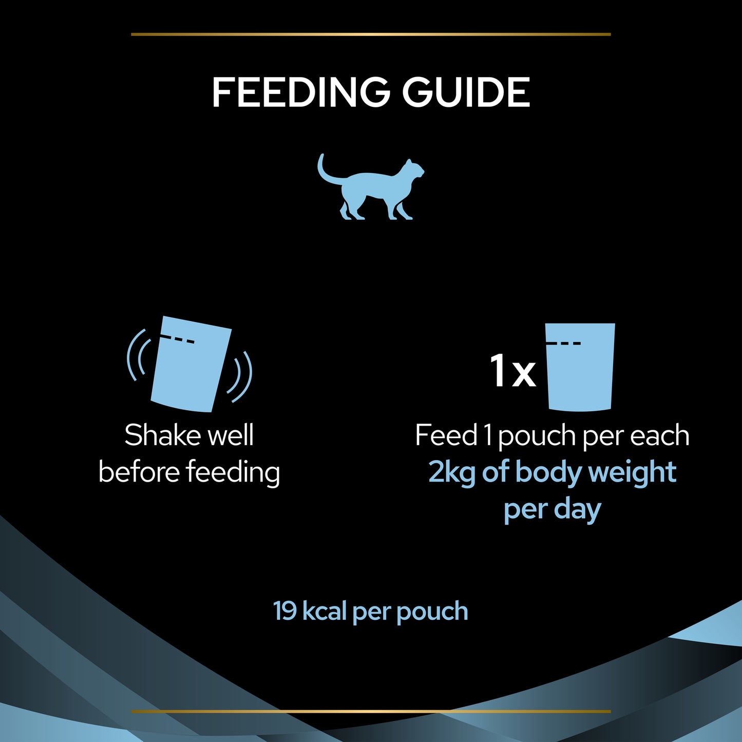 Feeding guide for a pet with icons and text on a dark background