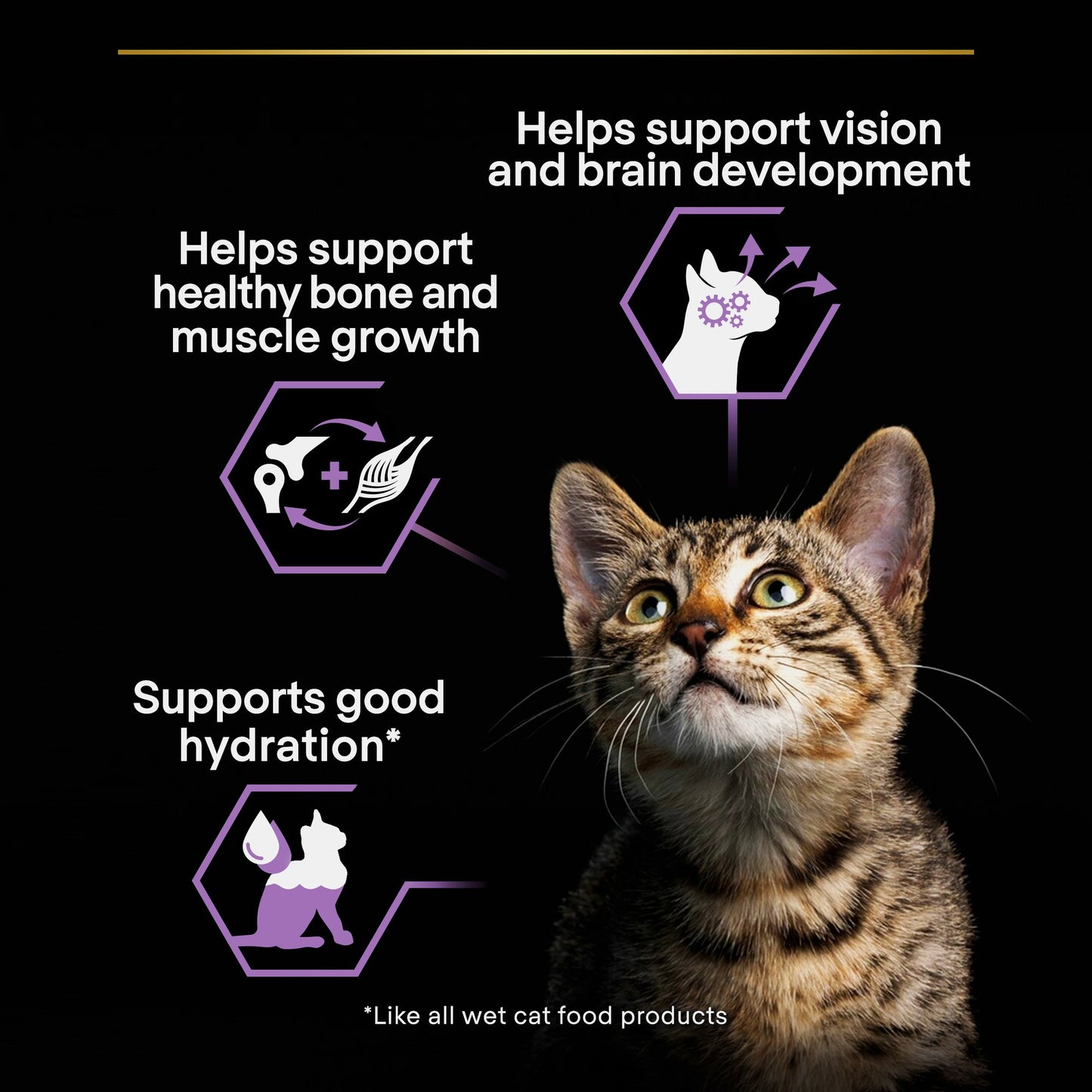 Cat with health benefits text on a black background