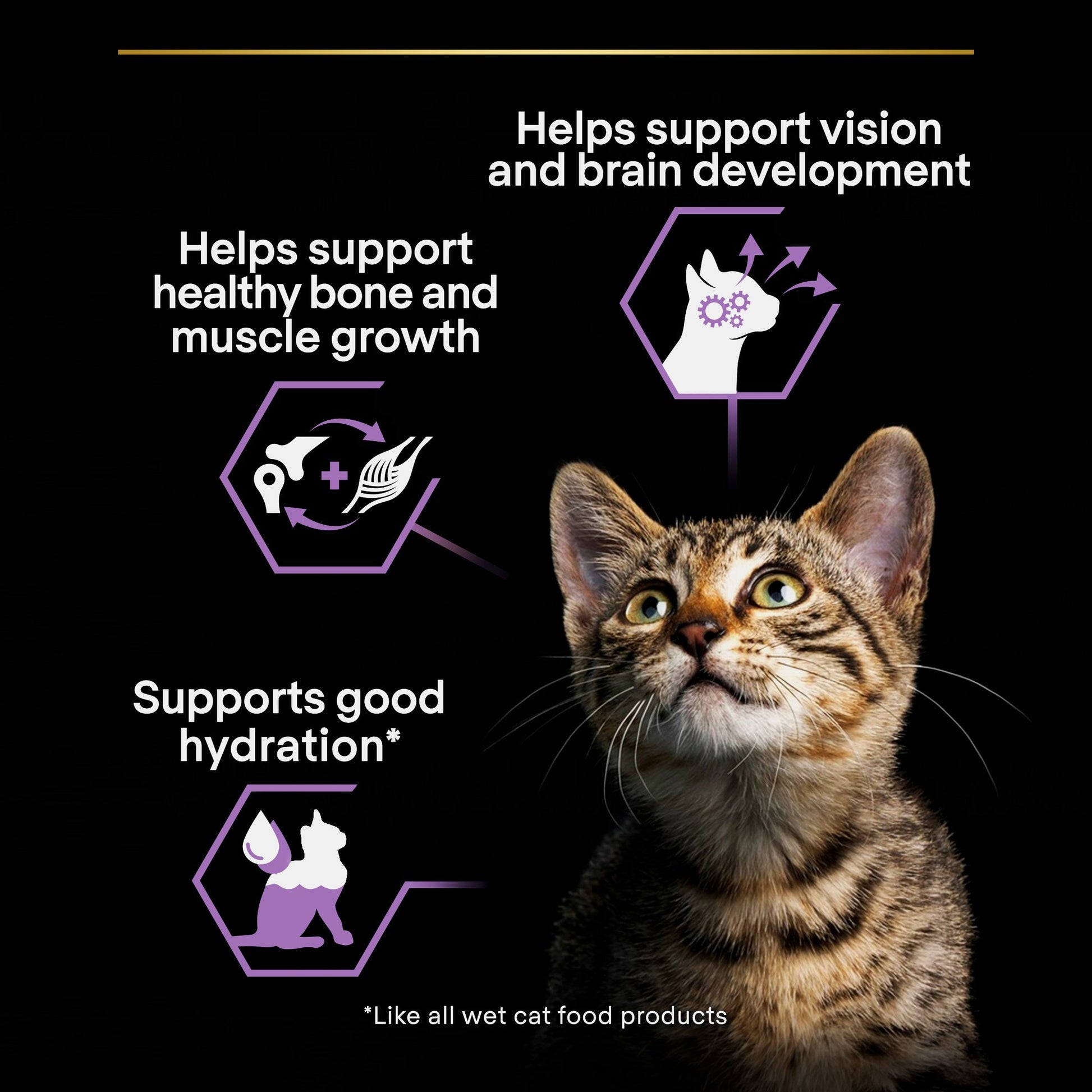 Cat with health benefits text on a black background