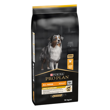Dog food package with a dog image and branding