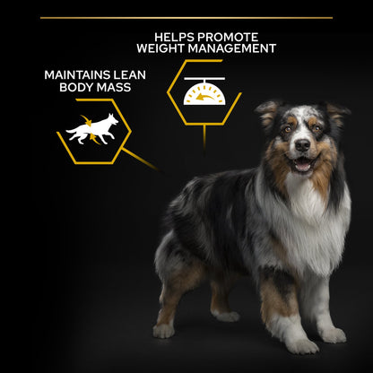 Dog with weight management and lean body mass benefits highlighted on a dark background