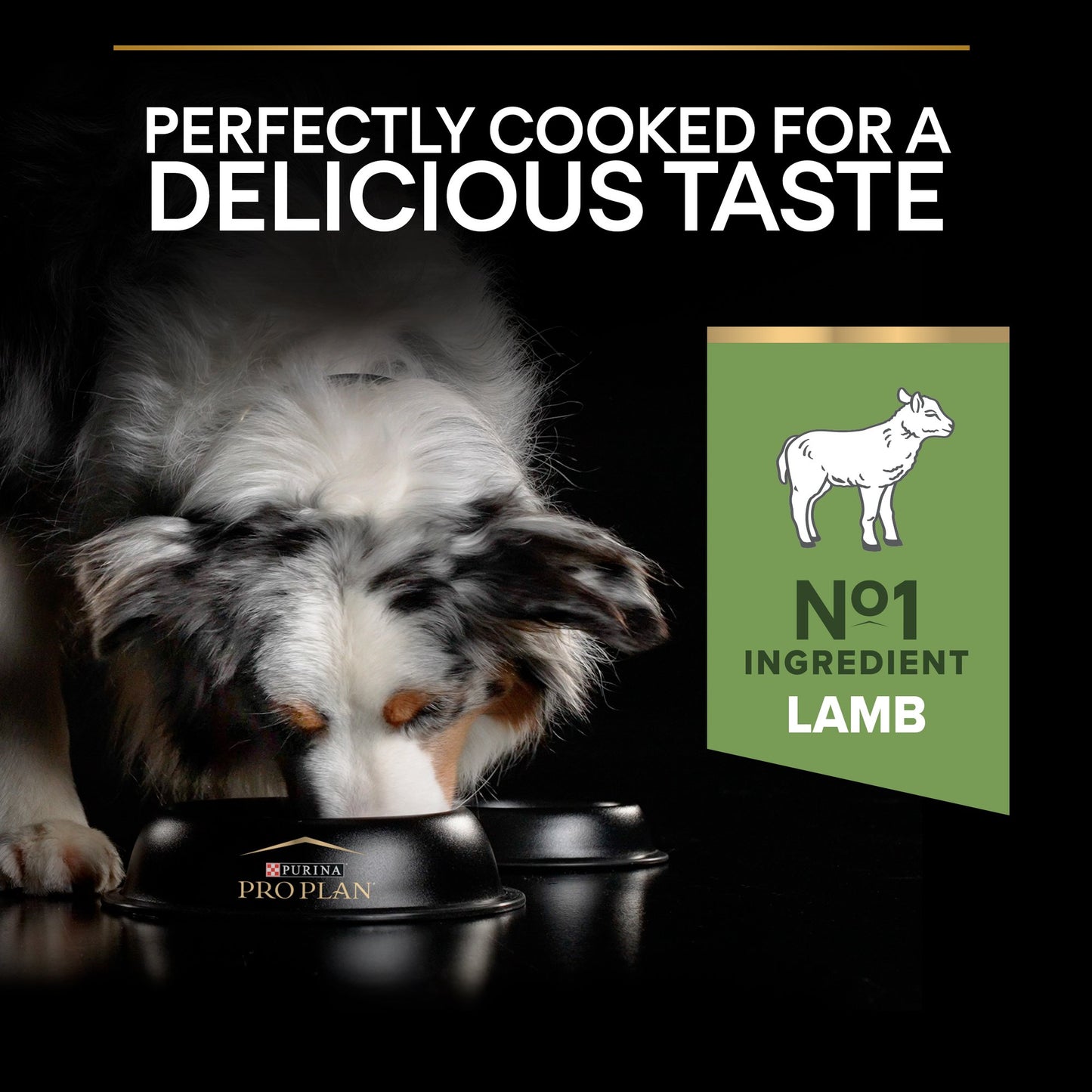Pro Plan Sensitive Digestion Medium Adult, Dry Dog food with Lamb, 14 kg