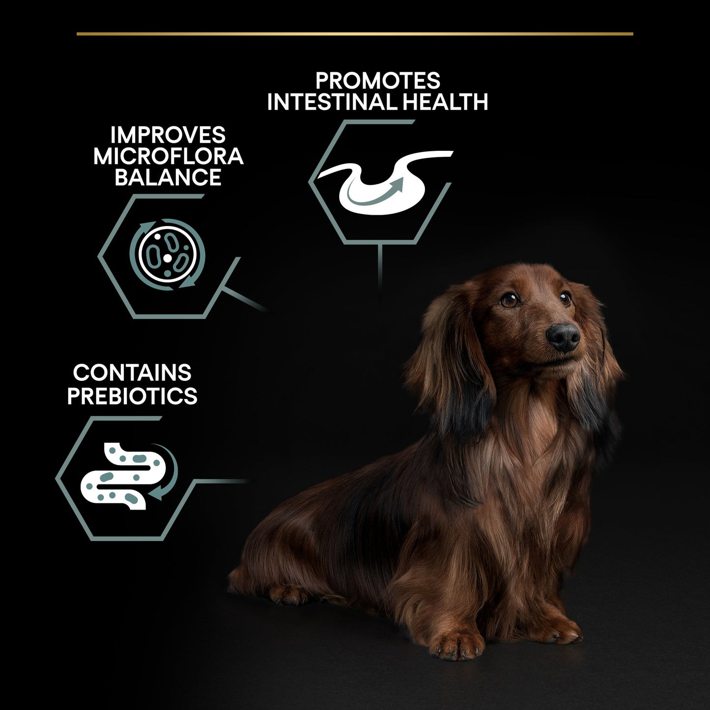 Pro Plan Sensitive Digestion Small and Mini Adult, Dry Dog food with Lamb, 3 kg