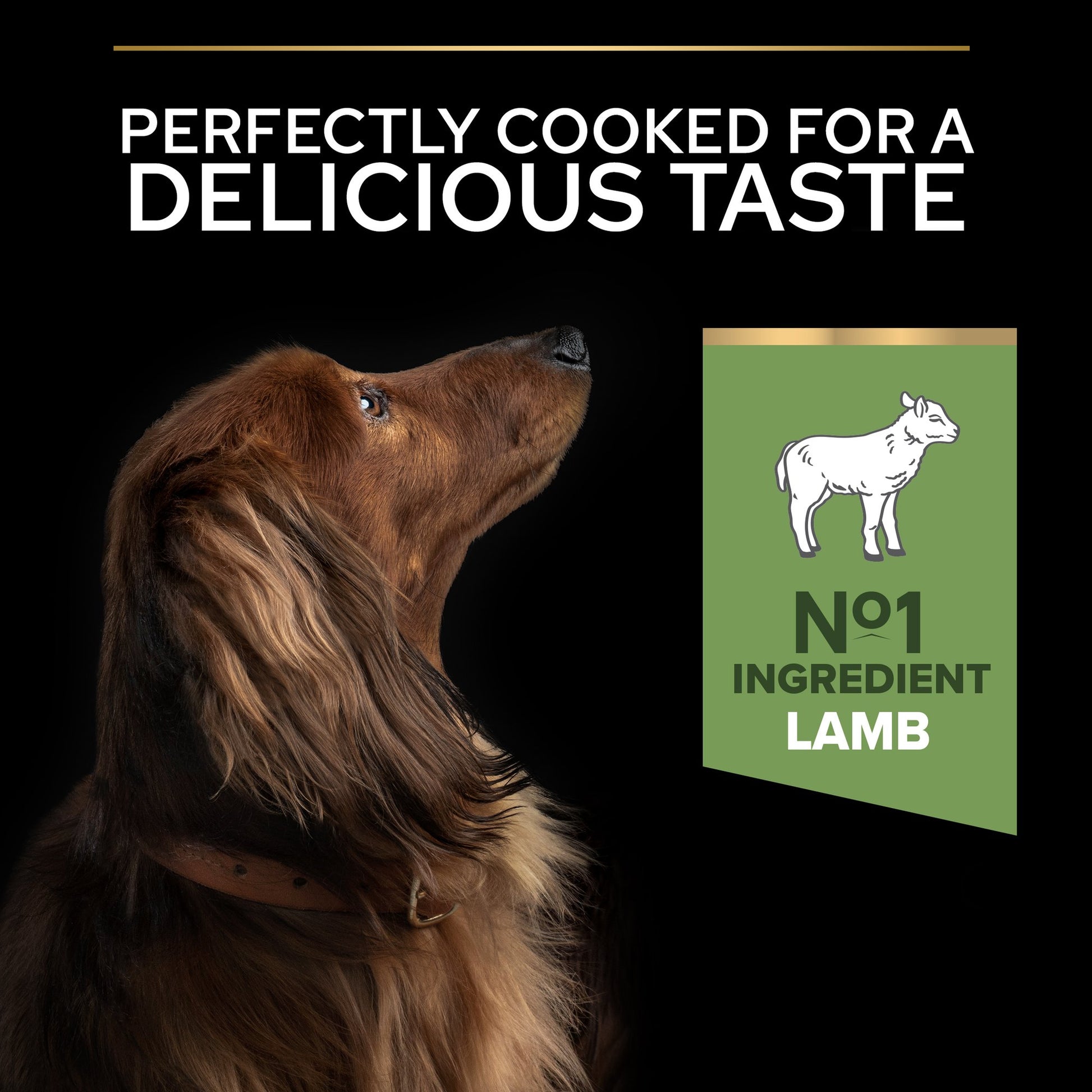 Pro Plan Sensitive Digestion Small and Mini Adult, Dry Dog food with Lamb, 3 kg