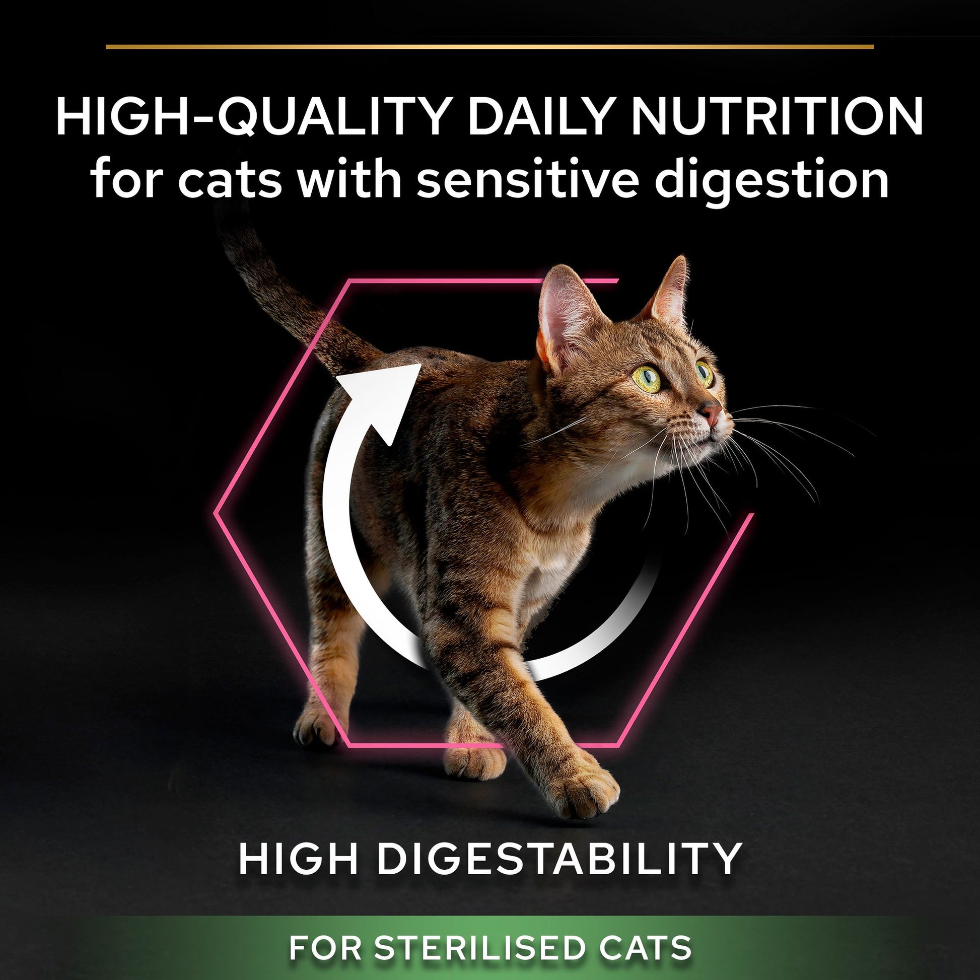 Cat walking with text about high-quality daily nutrition for cats with sensitive digestion and high digestability for sterilized cats.