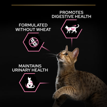 Cat looking up with health benefits text on a black background