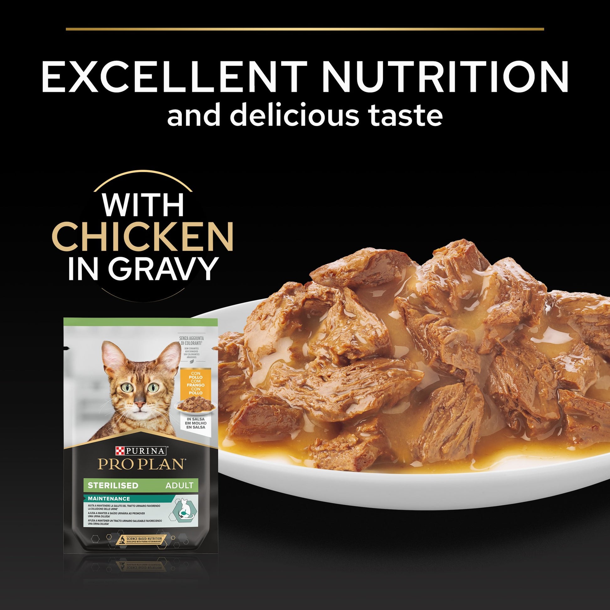 Cat food with chicken in gravy and product packaging on a black background.