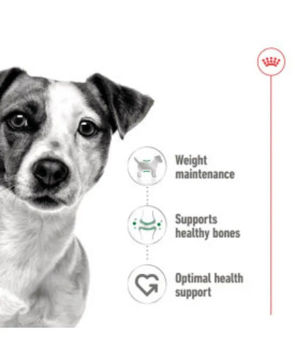 Royal Canin - Mini Adult Dog Food Loaf 195g