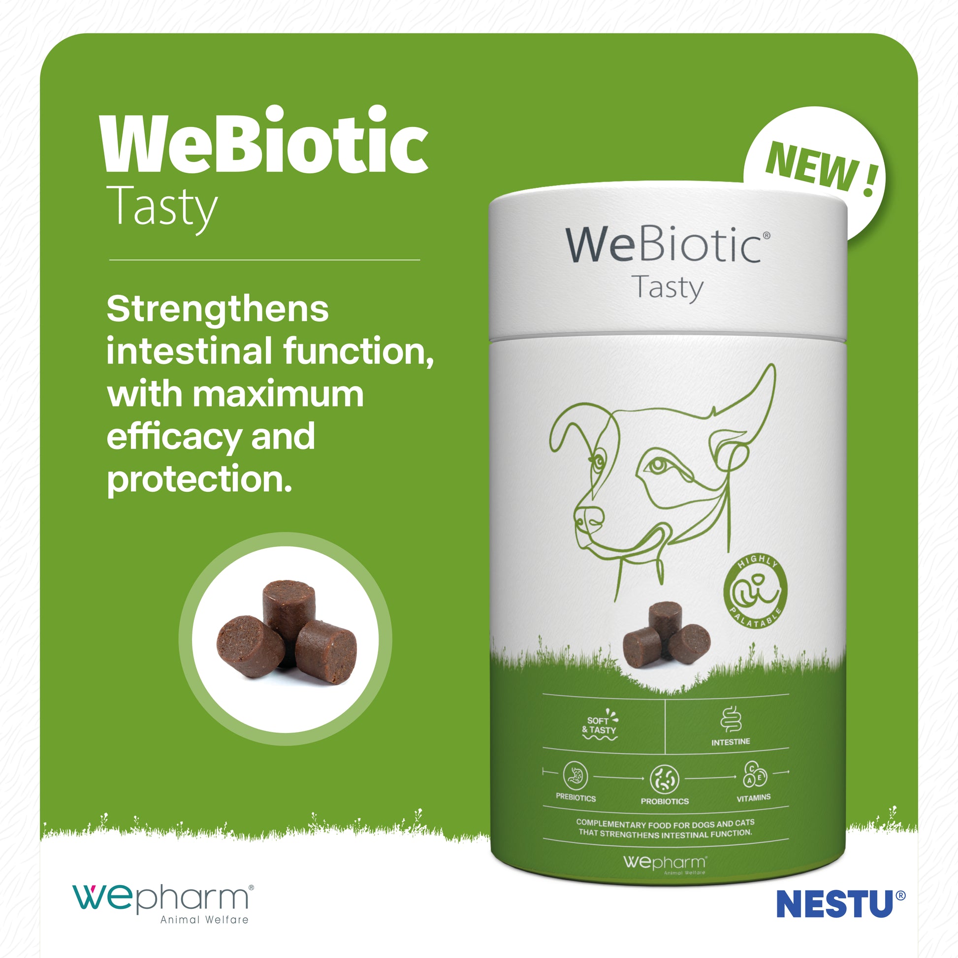 WeBiotic Tasty supplement container with green background and product details.