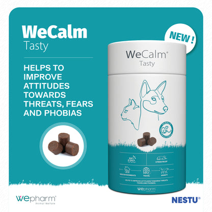 WeCalm Tasty product packaging with text on a teal background