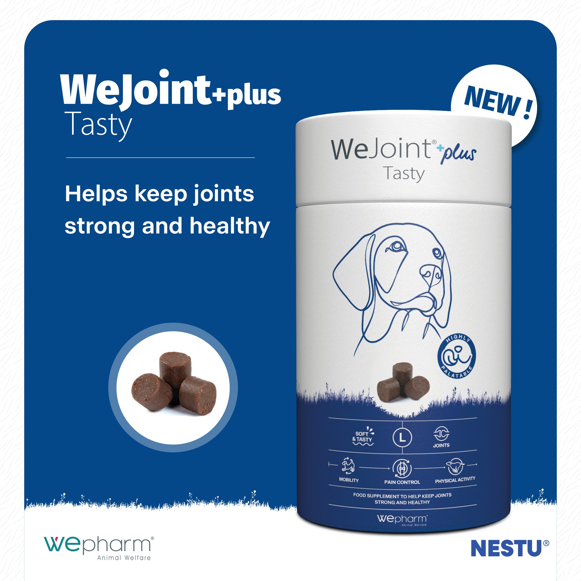 WeJoint+plus Tasty supplement container for dogs on a blue background