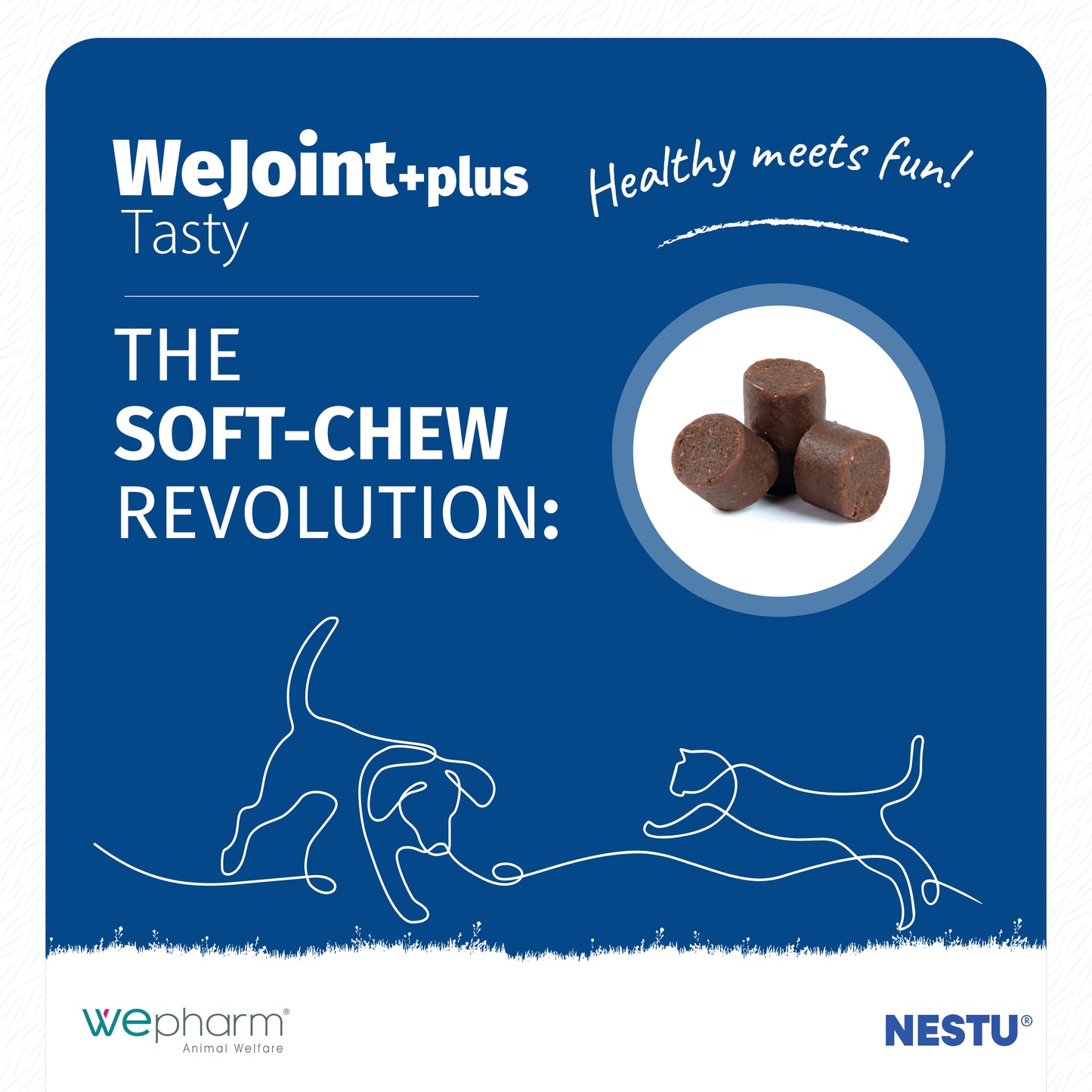 Wejoint+plus soft-chew product packaging with blue background and cat illustrations.