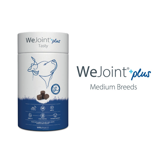 WeJoint Plus supplement container for medium breeds on a white background