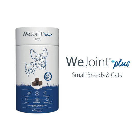 WeJoint plus supplement container for small breeds and cats on a white background