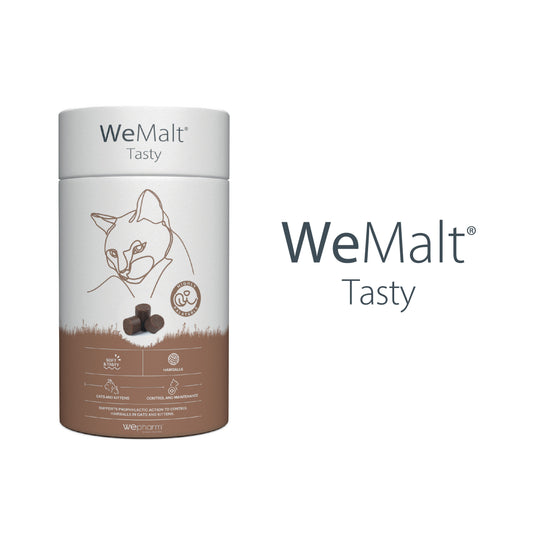 WeMalt Tasty product packaging on a white background