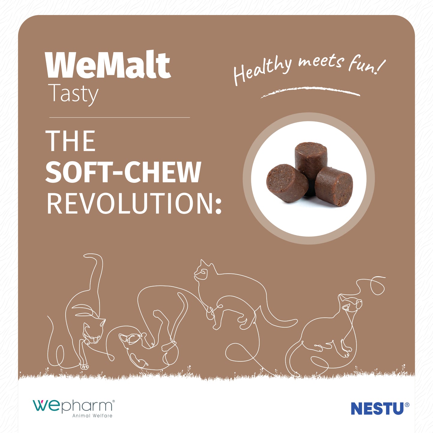 WeMalt cat soft-chew product packaging with illustrations of cats and text on a brown background.