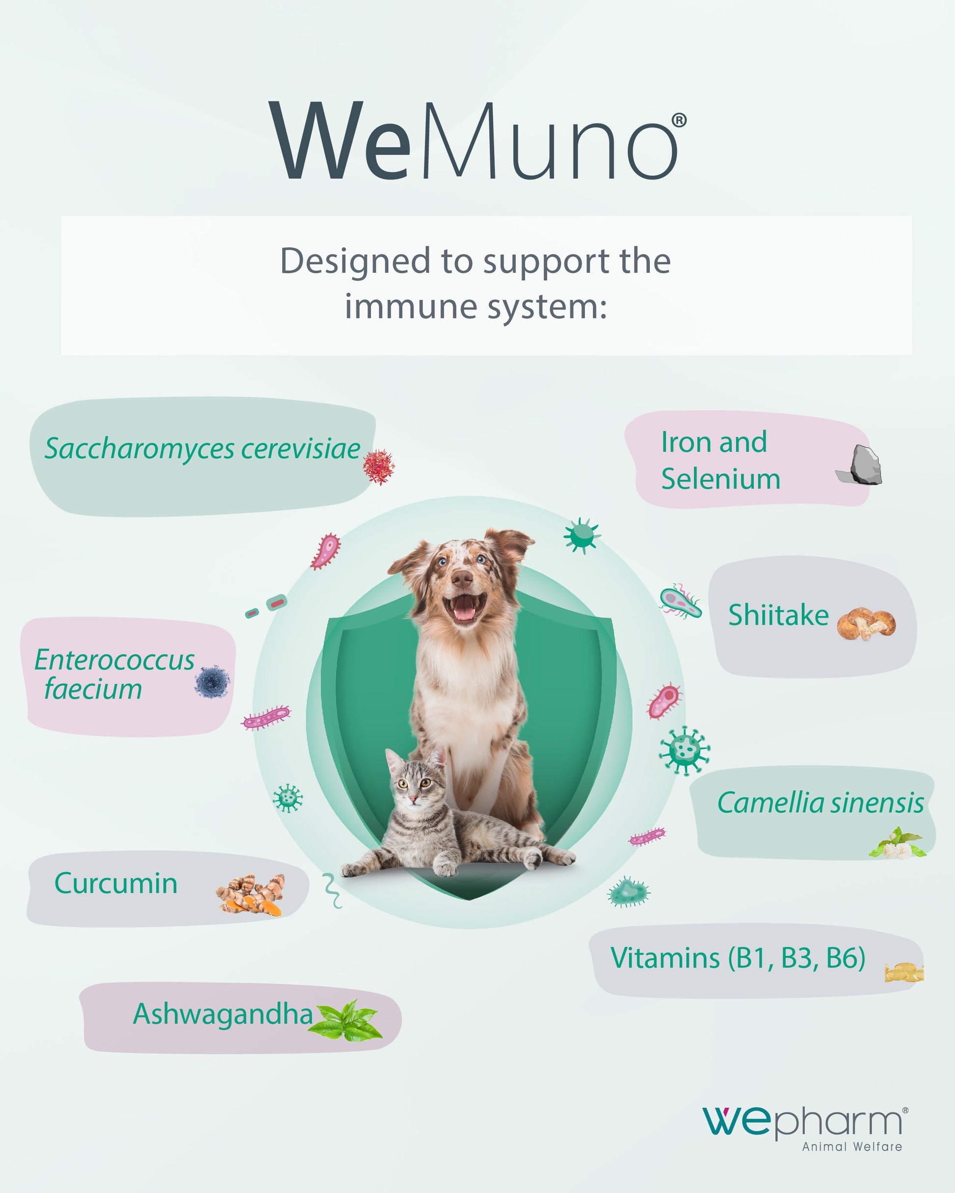 WeMuno product description with a dog and cat on a shield, featuring immune system support ingredients.
