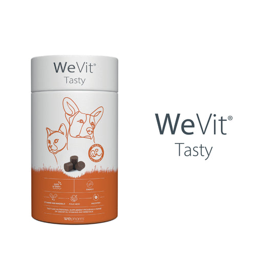 WeVit Tasty pet supplement container on a white background