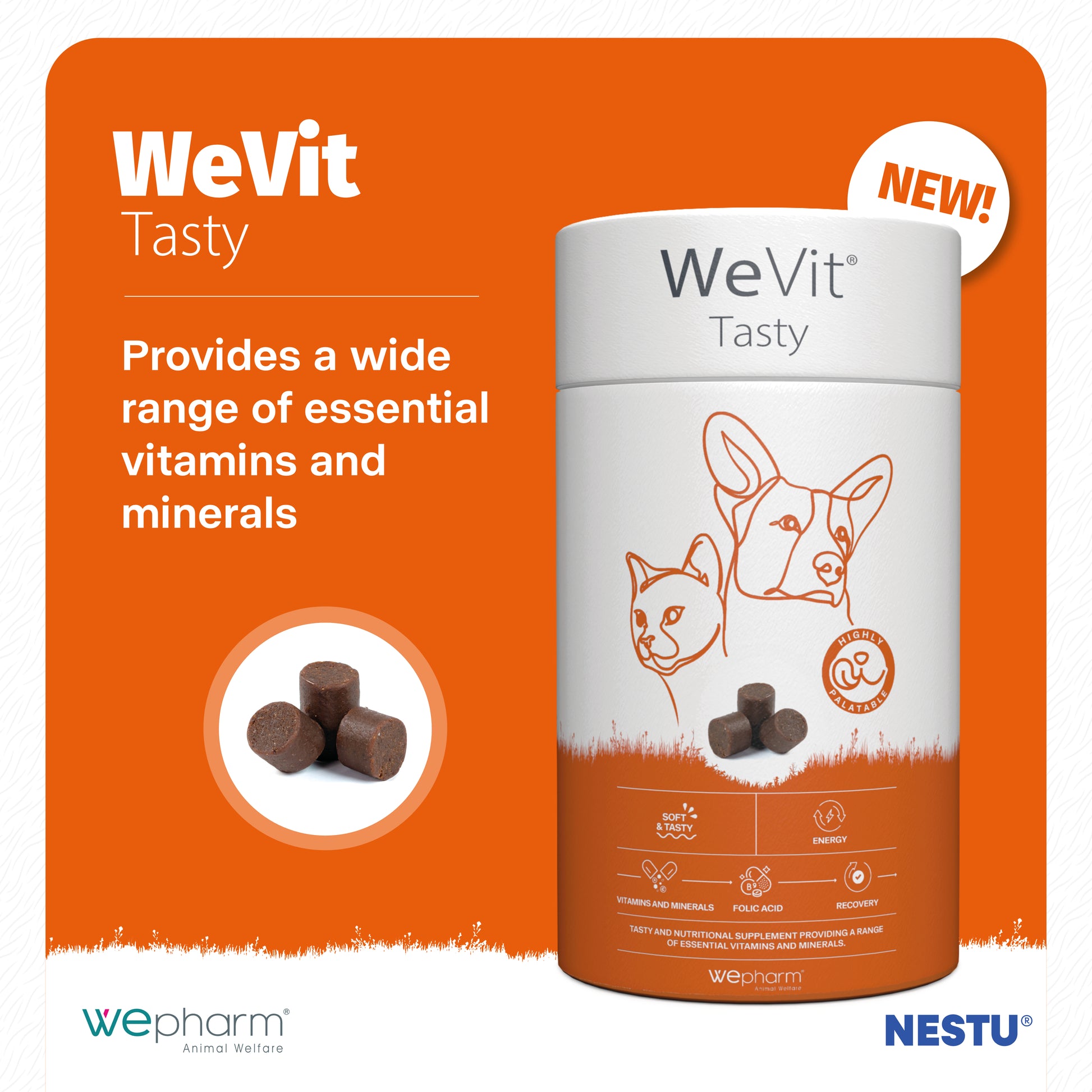 WeVit Tasty supplement container with orange background and product details.