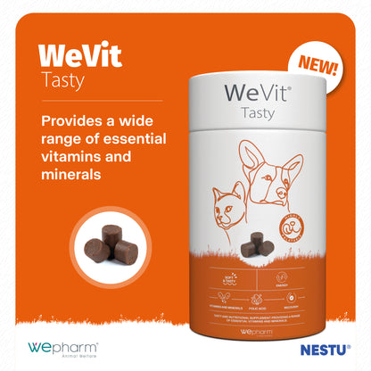 WeVit Tasty supplement container with orange background and product details.