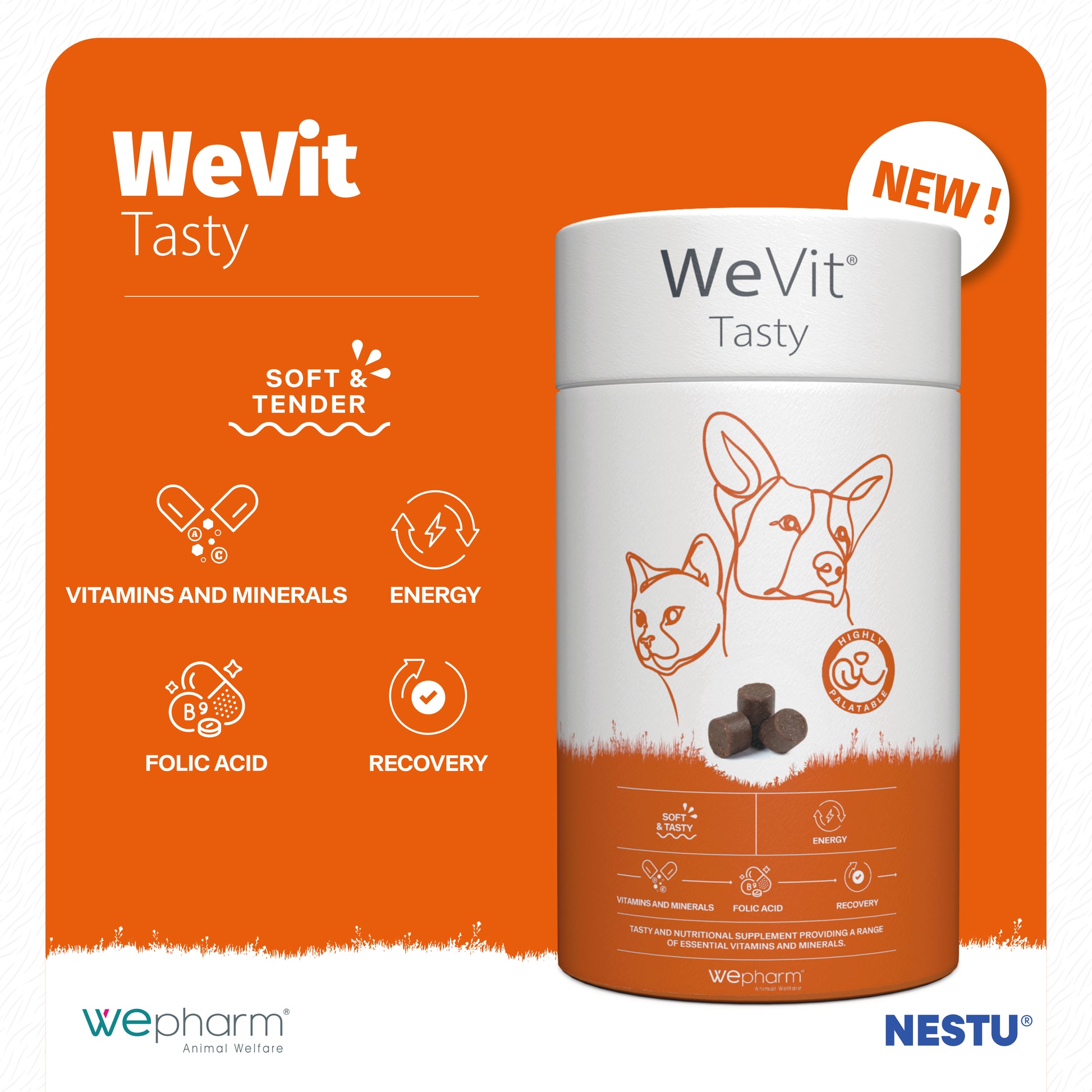 WeVit Tasty pet supplement container with orange background and product details.