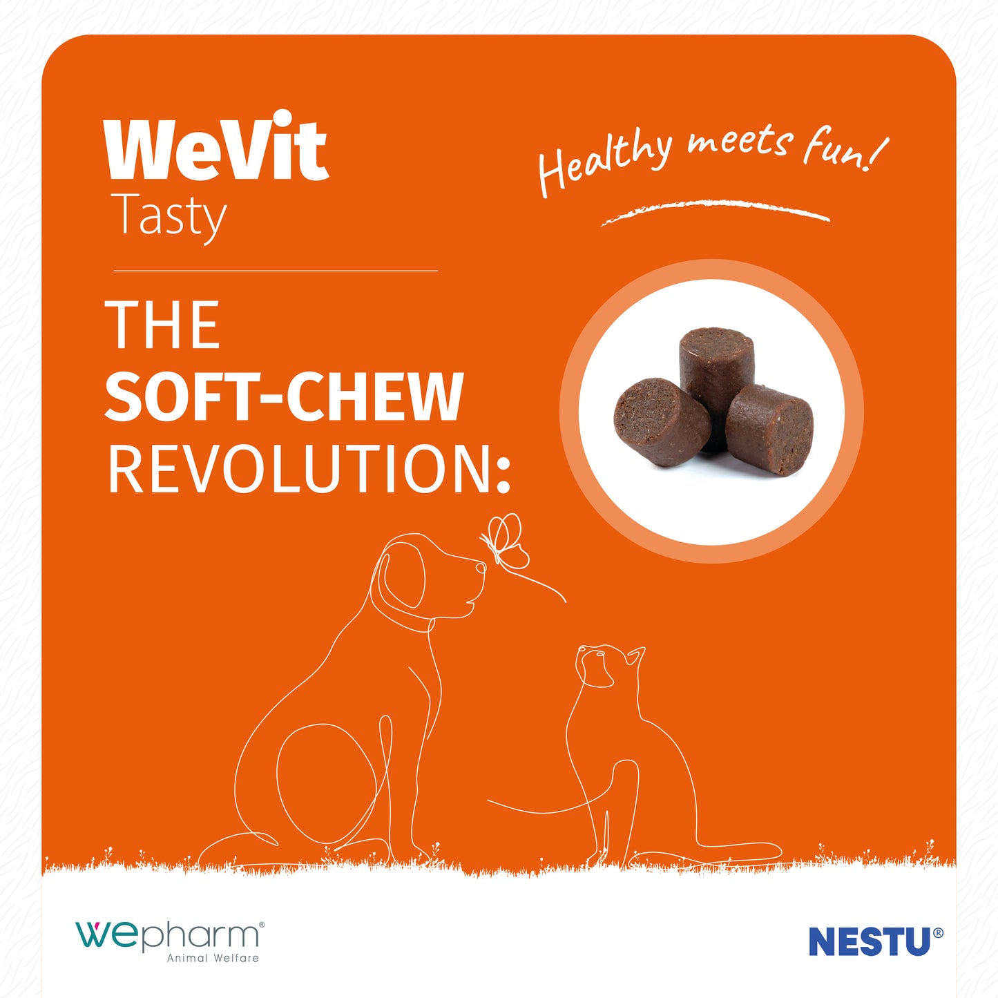 WeVit soft-chew product packaging with orange background, text, and images of dogs and cats.