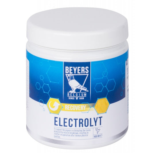 BEYERS - Elektrolyt - 500g