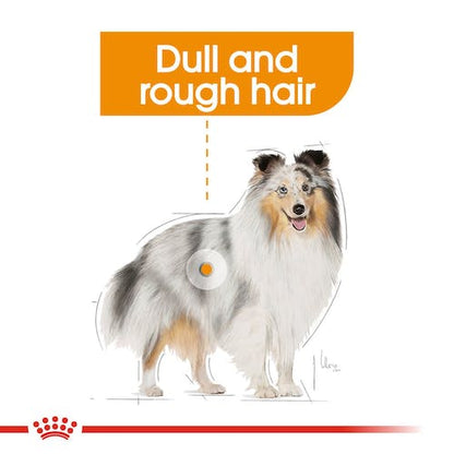 Royal Canin - Coat Care Dog Wet Food 85g